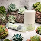 AloeClear rollon 30ml  thumbnail